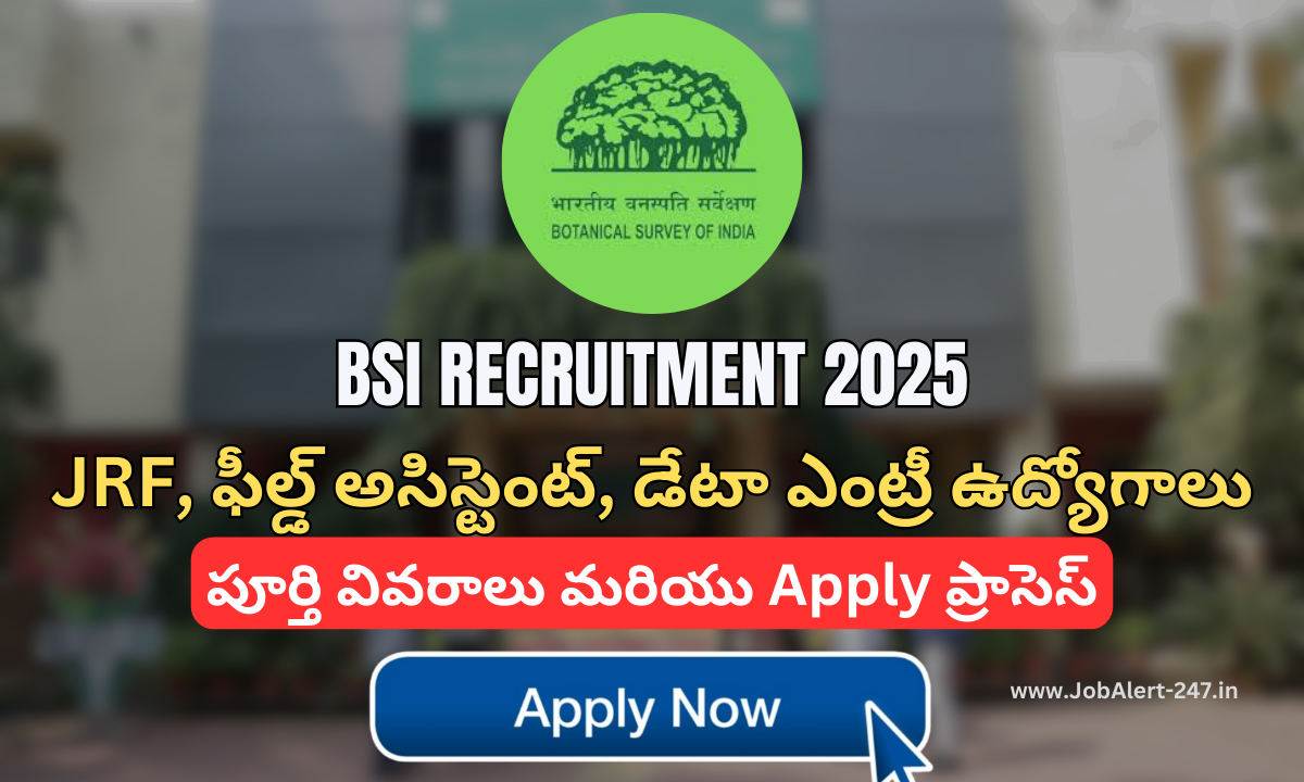 BSI