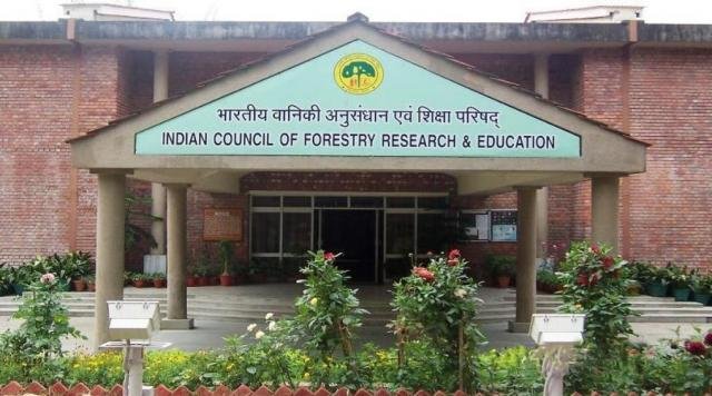 ICFRE-IFB Recruitment 2025: Hiring Field Assistants - Apply Now!